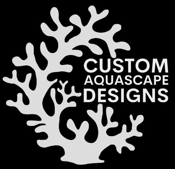 Custom Aquascape Designs