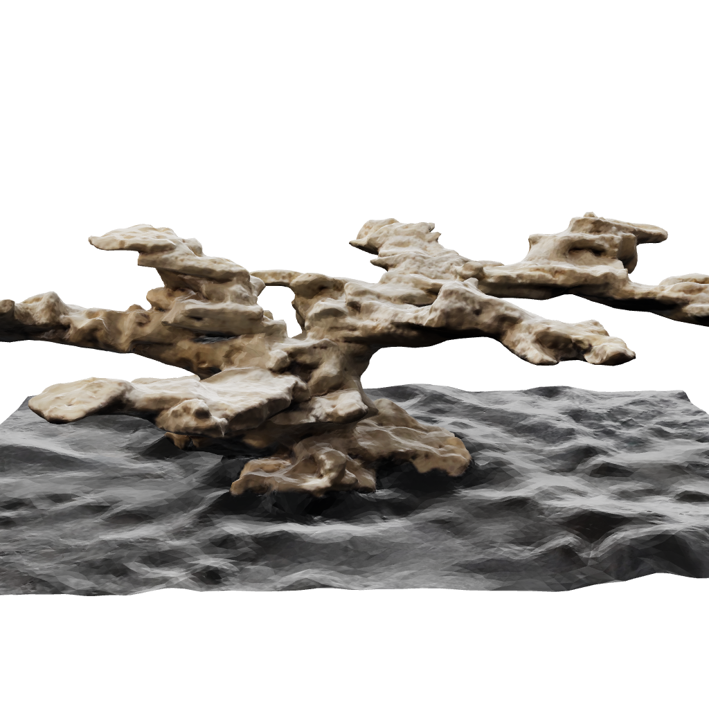 Bonsai Aquascape Custom Aquascape Designs